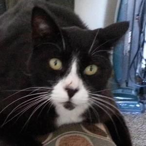 Meet your Posher, Latricia